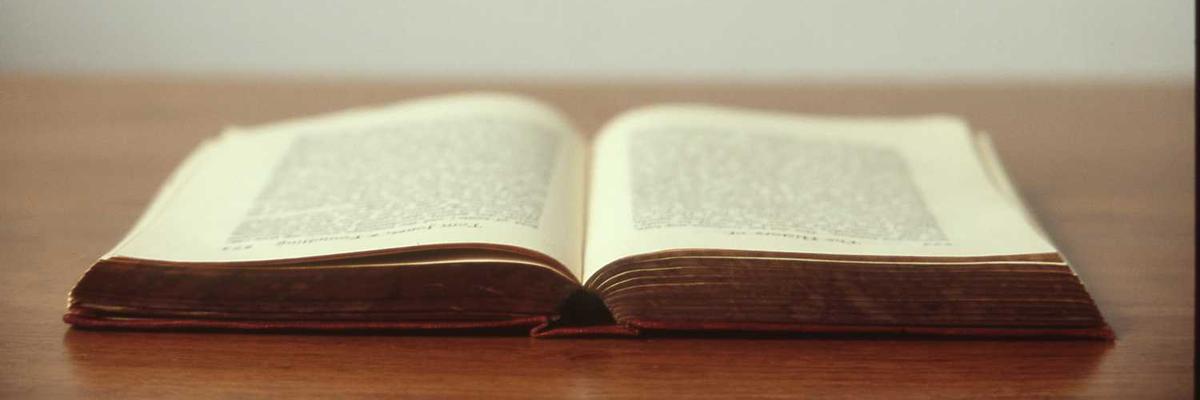 热门伊人直播推荐